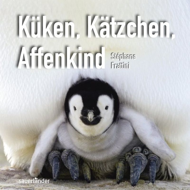 Küken, Kätzchen, Affenkind
