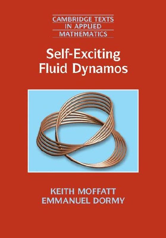Self-Exciting Fluid Dynamos