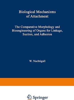 Biological Mechanisms of Attachment