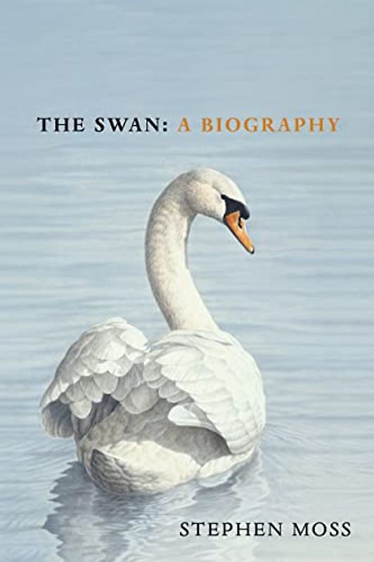 The Swan: A Biography – The must-have gift for bird lovers this Christmas