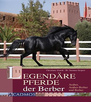 Legendäre Pferde der Berber. Araber, Araber-Berber und Berber