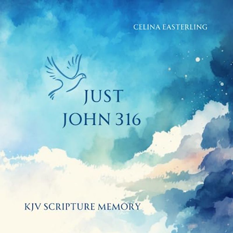 Just John 316: KJV Scripture Memory