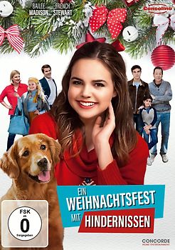 Ein Weihnachtsfest mit Hindernissen DVD