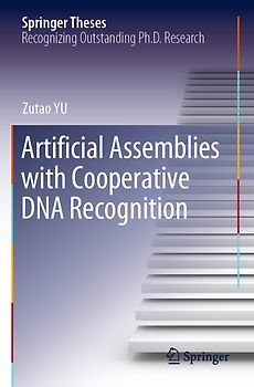 Artificial Assemblies with Cooperative DNA Recognition