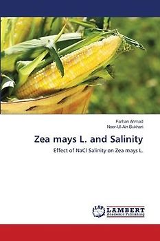 Zea mays L. and Salinity