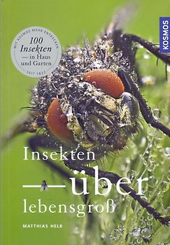 Insekten überlebensgroß