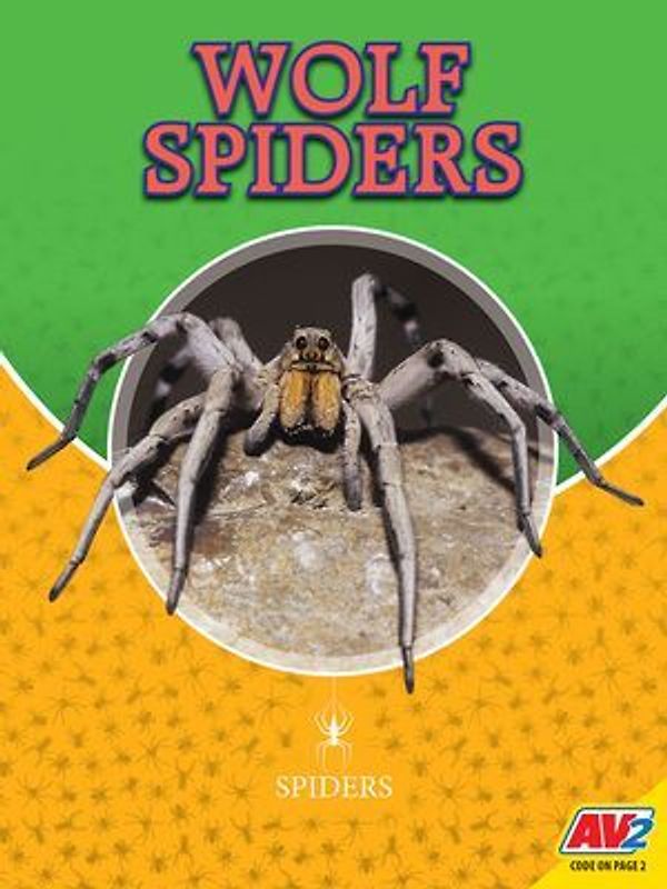 Wolf Spiders