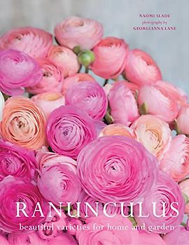 Ranunculus