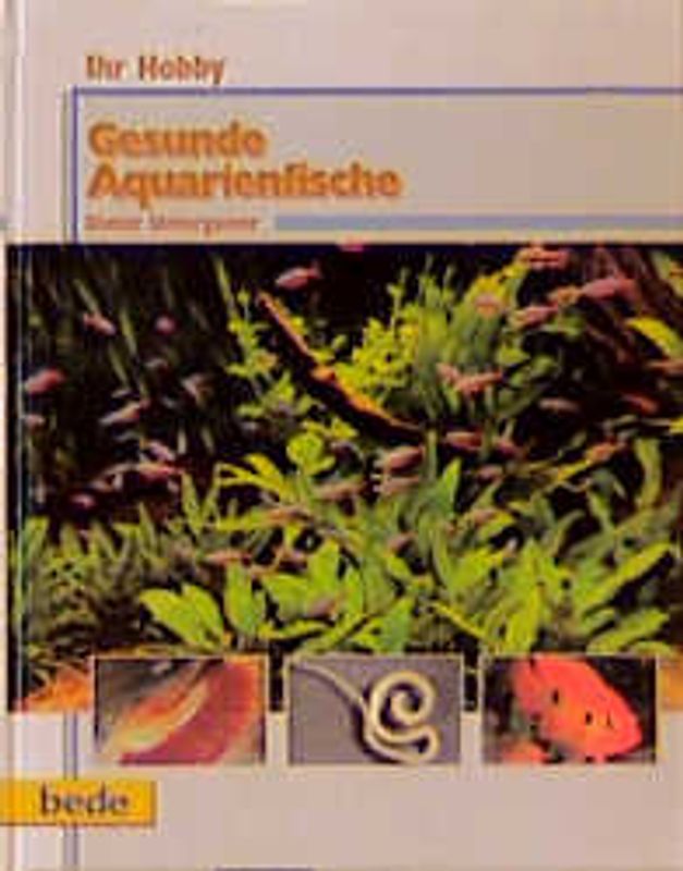 Ihr Hobby Gesunde Aquarienfische