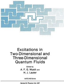 Excitations in Two-Dimensional and Three-Dimensional Quantum Fluids