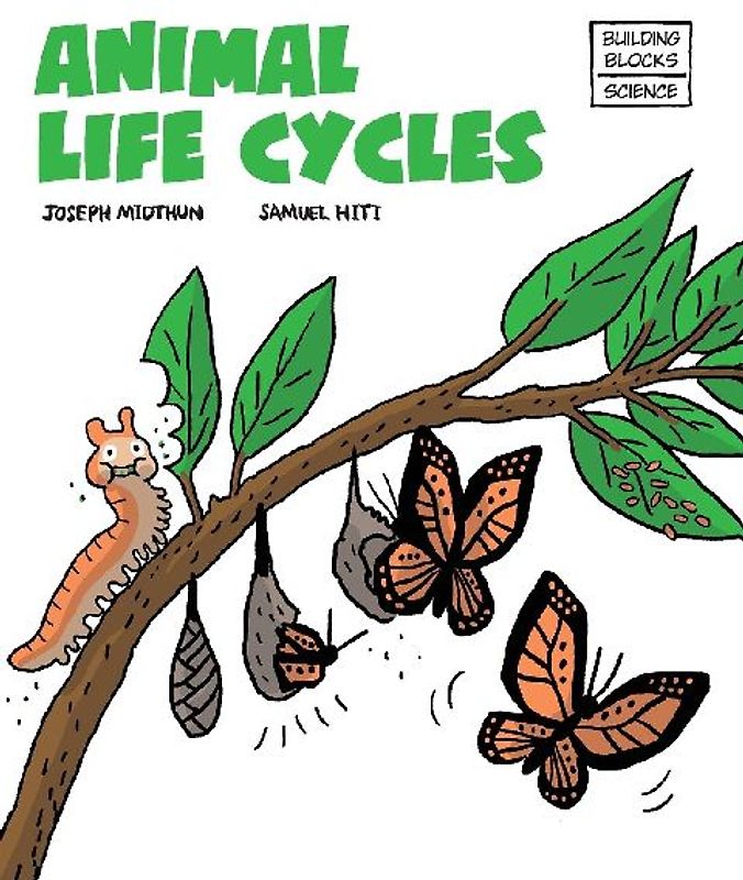 Animal Life Cycles