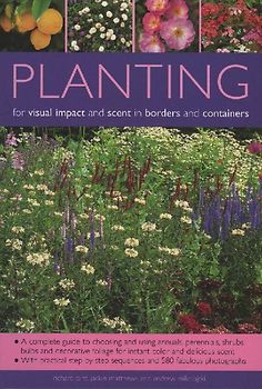Planting for Visual Impact and Scent in Borders and Containers