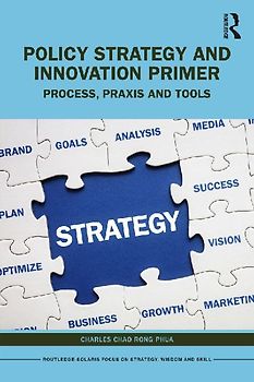 Policy Strategy and Innovation Primer