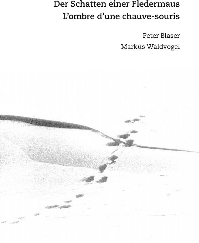 Der Schatten einer Fledermaus | L’ombre d’une chauve-souris