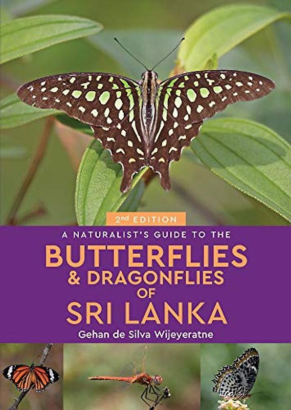 A Naturalist's Guide to the Butterflies & Dragonflies of Sri Lanka