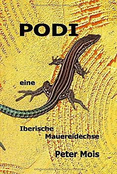 P O D I: Eine Iberische Mauereidechse