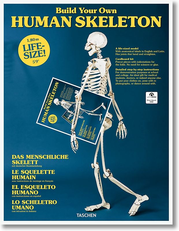 Build Your Own Human Skeleton