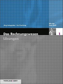 Das Rechnungswesen / Wie der Hase läuft - Lösungen