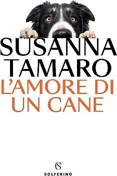 L' amore di un cane