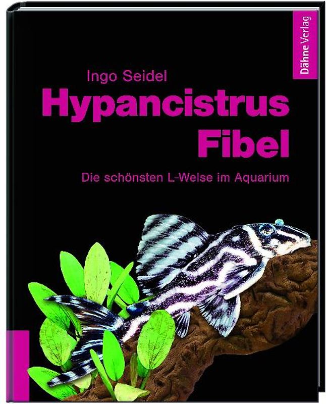 Hypancistrus-Fibel