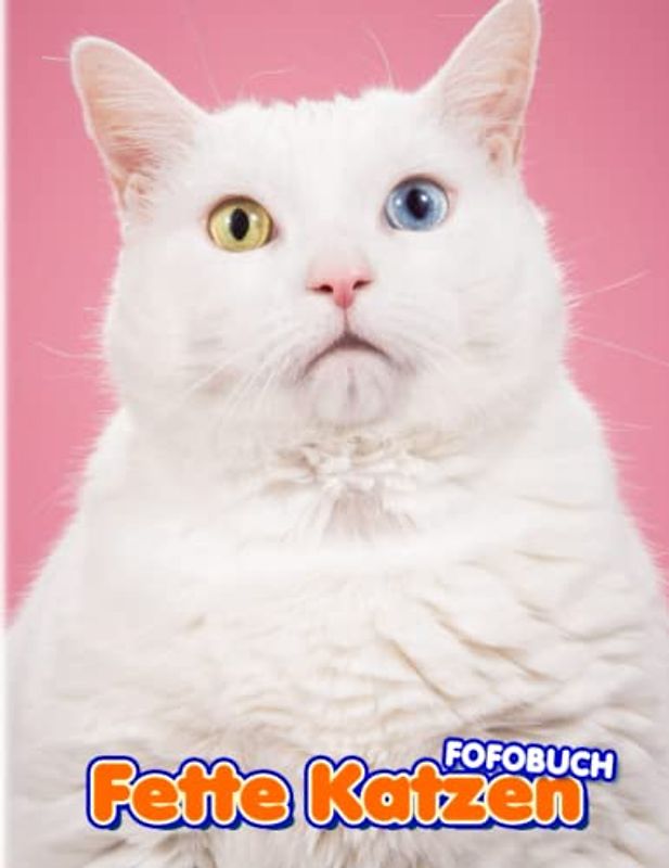Fette Katzen Fotobuch: "Funny Kittens Colorful Photos For All Ages To Relax And Unwind | Perfect Gift For Special Occasions"