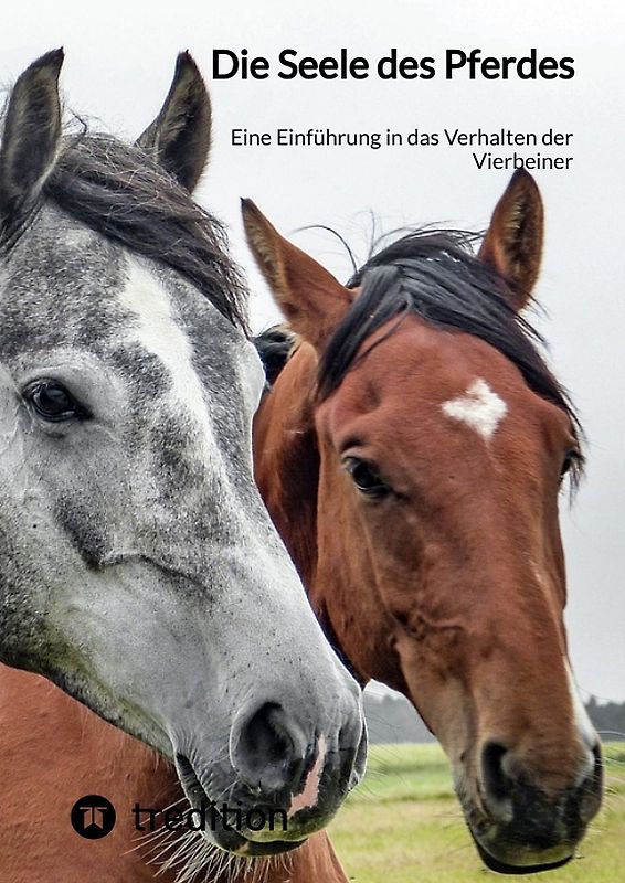 Die Seele des Pferdes