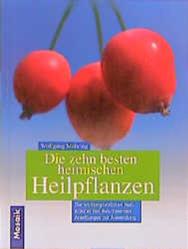 Die 10 besten heimischen Heilpflanzen