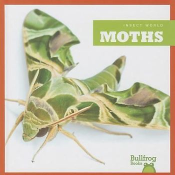 Moths