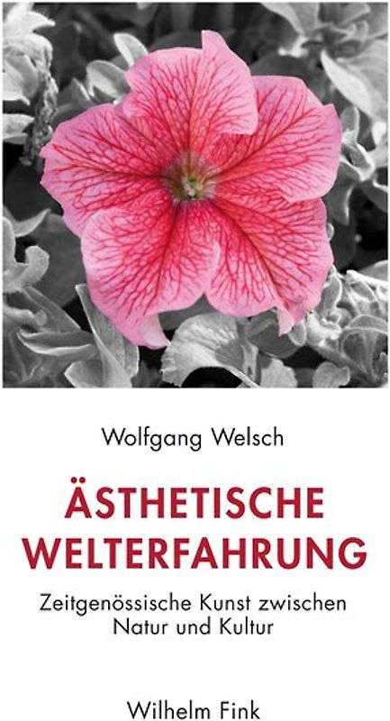 Ästhetische Welterfahrung