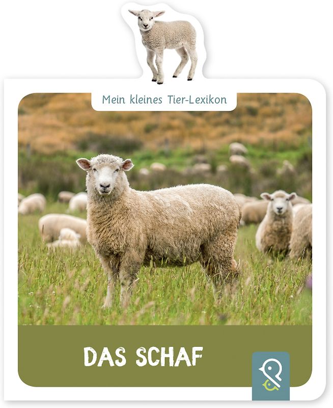 Das Schaf