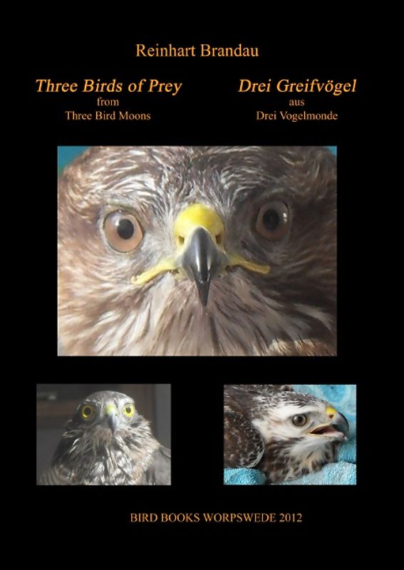 Three Birds of Prey - Drei Greifvögel