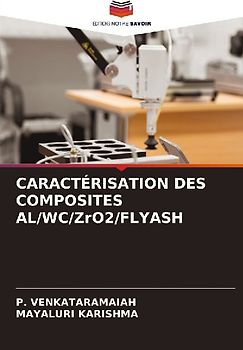 CARACTÉRISATION DES COMPOSITES AL/WC/ZrO2/FLYASH