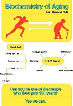 Biochemistry of Aging