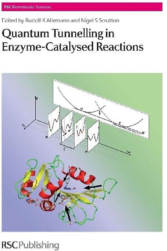 Quantum Tunnelling in Enzyme-Catalysed Reactions
