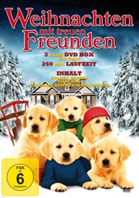 WEIHNACHTEN MIT TREUEN FREUNDEN - 3 Filme DVD-Box (Golden Winter - First Dog - Nur Hunde kommen in den Himmel) DVD