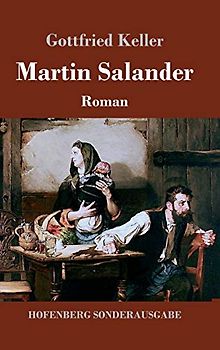 Martin Salander: Roman