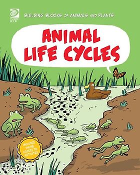 Animal Life Cycle