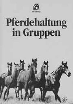 Pferdehaltung in Gruppen