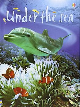 Under the Sea (Usborne Beginners) - Patchett, Fiona