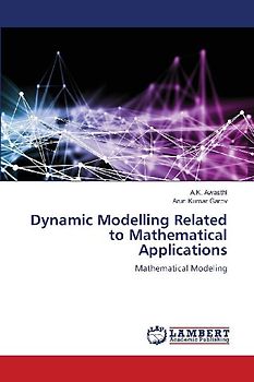 Dynamic Modelling Related to Mathematical Applications