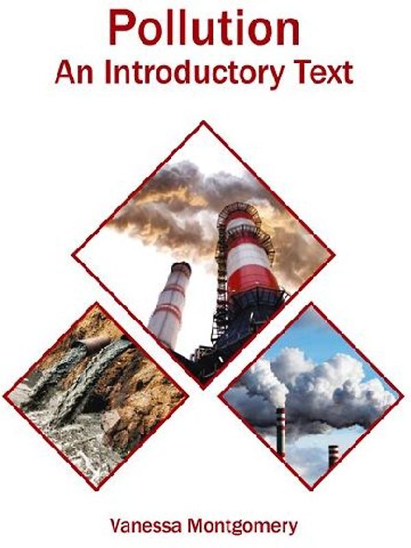 Pollution: An Introductory Text