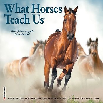 What Horses Teach Us 2026 7 X 7 Mini Wall Calendar