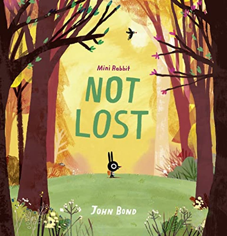 Mini Rabbit -- Mini Rabbit Not Lost