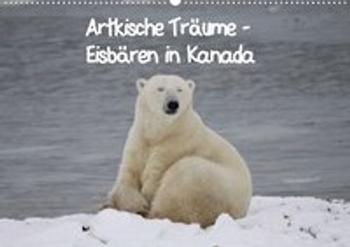 Arktische Träume - Eisbären in Kanada (Posterbuch DIN A2 quer)