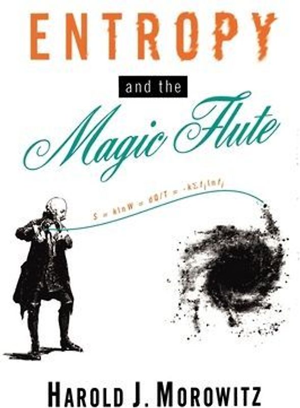 Entropy and the Magic Flute