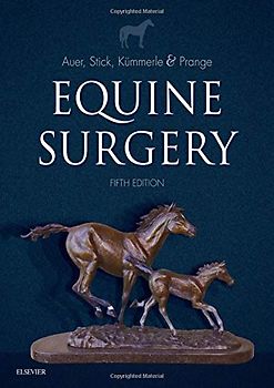 Equine Surgery