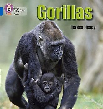 Gorillas