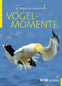 Faszinierende Vogelmomente