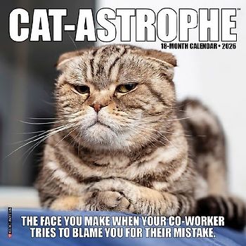 Cat-Astrophe 2026 7 X 7 Mini Wall Calendar