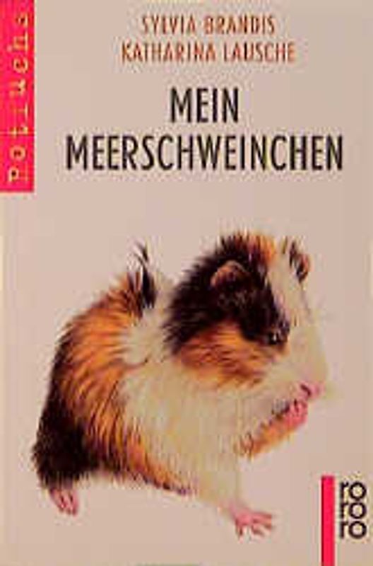 Mein Meerschweinchen